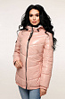 Куртка В-1237 Лак Тон 19 + Тон 5А Розовый
