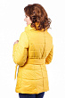 Куртка В-931  Лаке Тон 15 Желтый