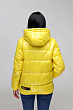 Куртка В-1237 Лак Тон 8 + Тон 21 Желтый